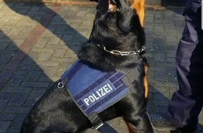 Polizeidirektion Bad Segeberg: POL-SE: Elmshorn - Festnahme nach Einbruch in Werkhalle - Diensthund "Murphy" stellt dritten Tatverdächtigen