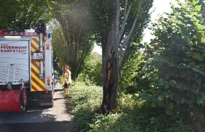 Polizeiinspektion Delmenhorst / Oldenburg - Land / Wesermarsch: POL-DEL: Landkreis Oldenburg: Zeugen gesucht zu Brand an Baum in Harpstedt
