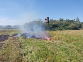 FW Reichenau: Flächenbrand im Wollmatinger Ried Schnelles Eingreifen der Feuerwehr verhindert Schlimmeres Reichenau, L221, Wollmatinger Ried, 18.08.2023