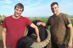ZDF: Wer hütet bloß Hof und Tiere? 50. Folge der "Büffelranch" zum Start der neuen Staffel im ZDF (FOTO)