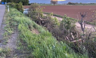 Polizeidirektion Landau: POL-PDLD: A65/AS NW-Nord - Verkehrsunfall unter Alkoholeinfluss