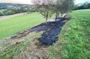 Polizeidirektion Kaiserslautern: POL-PDKL: Dornenhecke in Brand gesetzt