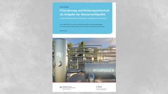 Institut für ökologische Wirtschaftsforschung: Studie: Wasserstoffwirtschaft braucht Richtungssicherheit