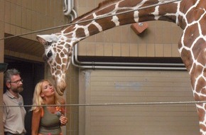 ProSieben: Sonya Kraus: Bananenorgie mit Giraffenbulle Axel