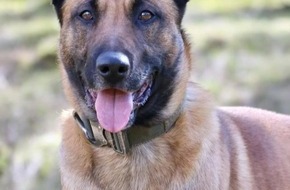 Polizei Duisburg: POL-DU: Röttgersbach/Friemersheim: Rauschgiftspürhund im Einsatz - Drogendealer festgenommen