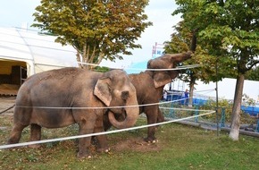 Aktionsbündnis "Tiere gehören zum Circus": Aktionsbündnis "Tiere gehören zum Circus" anlässlich des Welttierschutztages: Der traditionelle Circus leistet wichtigen Beitrag zum Tier- und Naturschutz! (BILD)