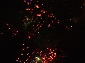 FW Weinheim: Weinheimer Feuerwehr im Einsatz bei der Nacht der 1000 Lichter