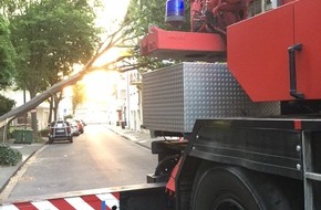 Feuerwehr und Rettungsdienst Bonn: FW-BN: Baum stürzt auf Baugerüst