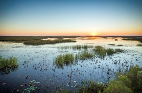 Louisiana Office of Tourism: Louisiana präsentiert neuen Leitfaden für Vogelbeobachtungen / Pelican State bekommt eigene Birding-Website