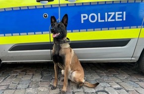 Polizei Hamburg: POL-HH: 260730-1. Sieben Zuf&uuml;hrungen nach Einbruch in eine Lagerhalle in Hamburg-Wilhelmsburg