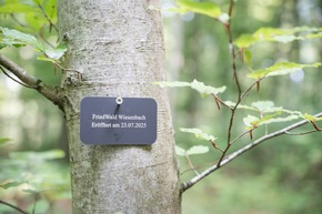 Bestattungswald FriedWald Wiesenbach im Rhein-Neckar-Kreis eröffnet