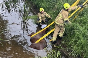 Feuerwehr Bremen: FW-HB: Pferd im Graben: Erster Einsatz für Fachgruppe Großtierrettung