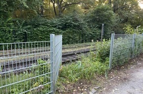 Feuerwehr Paderborn: FW Paderborn: Feuerwehr rettet sieben Schwäne von Bahngleisen