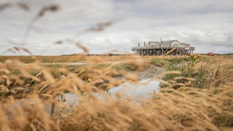 Tourismus-Zentrale St. Peter-Ording: Volles Programm für goldene Tage - Herbstveranstaltungen in St. Peter-Ording