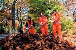 Verband kommunaler Unternehmen e.V. (VKU): VKU zur Laubentsorgung / Der große Herbstputz läuft auf vollen Touren (BILD)