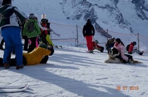 Schweizer Tierschutz STS: Chiens Saint-Bernard à Zermatt: un spectacle indigne près de disparaître / Prise de position de la Protection Suisse des Animaux PSA