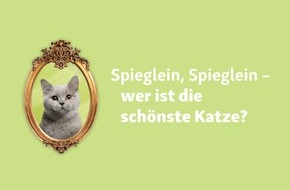 Fressnapf Holding SE: Fressnapf sucht zum Weltkatzentag die schönste Katze Deutschlands