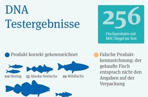 Marine Stewardship Council (MSC): Wissen, was auf den Tisch kommt: Aktuelle Verbraucherumfrage und DNA-Tests liefern neue Erkenntnisse zum Thema Lebensmittelsicherheit