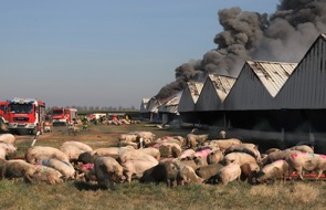 Deutscher Tierschutzbund e.V.: PM  - Brand in Alt Tellin - Tierschutzbund nimmt Minister Backhaus in die Pflicht