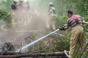 FW Menden: Bodenfeuer in einem Waldstück