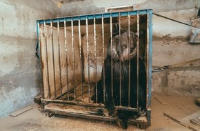 VIER PFOTEN - Stiftung für Tierschutz: Ehemalige Zirkusbärin zieht schon bald ins Arosa Bärenland ein