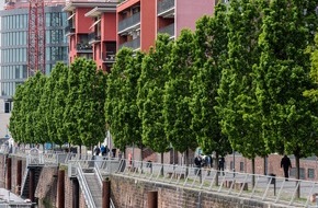 Bund deutscher Baumschulen (BdB) e.V.: Masterplan Stadtnatur: Stadtgrün endlich im Fokus der Bundesregierung - BdB schätzt Investitionsbedarf auf mehr als 2 Milliarden Euro