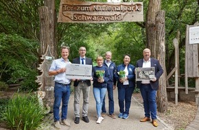 Edeka Südwest: Presse-Information: Wildkatzenprojekt gewinnt beim Naturschutzwettbewerb „Unsere Heimat & Natur“