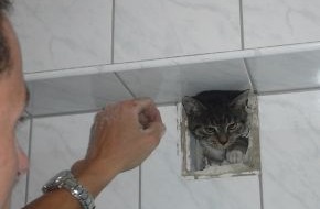 Feuerwehr Essen: FW-E: Katze in Lüftungsschacht gefangen, aufwändige Rettung durch Essener Feuerwehr