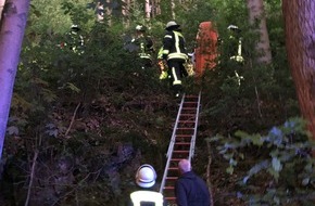 Kreispolizeibehörde Märkischer Kreis: POL-MK: Hummel entdeckt vermisste Seniorin