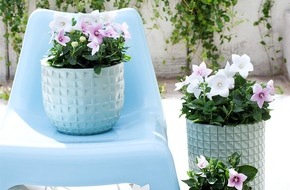 Blumenbüro: Die besten Pflanztöpfe für den Sommer / Inspiration für Balkon und Terrasse