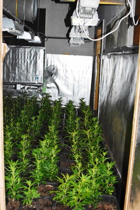ZOLL-E: Drogenanbau vom Keller bis zum Dach
- Zollfahndungsamt Essen hebt Cannabisplantage mit 1.000 Pflanzen aus