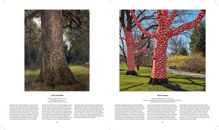 BÄUME - Der Atem der Welt, jetzt im Midas Verlag erschienen