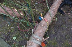Polizei Minden-Lübbecke: POL-MI: Arbeitsunfall: Mann (30) stürzt bei Baumfällarbeiten in die Tiefe