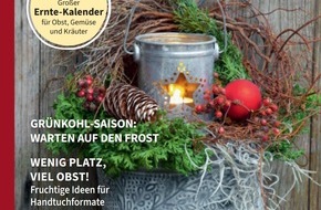 dlv Deutscher Landwirtschaftsverlag GmbH: Was beim Christbaumkauf zu beachten ist