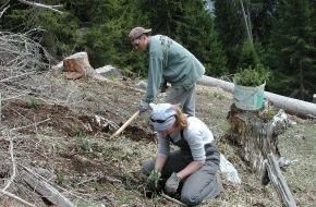 Stiftung Bergwaldprojekt: Stiftung Bergwaldprojekt: Saisonbeginn für Freiwillige im Bergwald