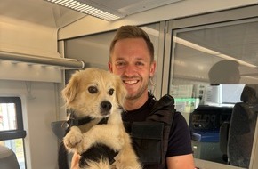 Bundespolizeiinspektion Kassel: BPOL-KS: Ungew&ouml;hnlicher Einsatz im Regionalexpress - Bundespolizei nimmt ausgeb&uuml;xten Hund in Gewahrsam