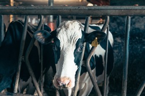 Reskuh: Nachhaltige Landwirtschaft im Zeichen des Klimawandels