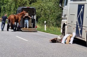 Polizeidirektion Lübeck: POL-HL: Ostholstein - Neustadt in Holstein / Pferdetransporter gerät an Leitplanke - Aufregender Einsatz auf der Autobahn