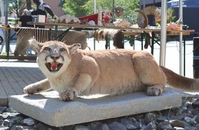 Hauptzollamt Regensburg: HZA-R: Hauptzollamt Regensburg l&auml;dt am 18. April 2026 zum Informationstag: Ein Blick hinter die Kulissen