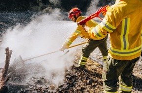 Fürstentum Liechtenstein: Einsatzgruppe Waldbrand in Triesenberg