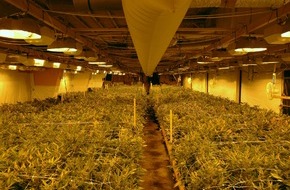 Polizeiinspektion Northeim: POL-NOM: Cannabisplantage in ehemaligem Fabrikgelände entdeckt - Bilder im Anhang