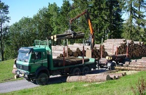 ASTAG Schweiz. Nutzfahrzeugverband: ASTAG: Effizienter Abtransport von "Lothar"-Holz