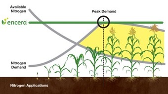 News Direct: Azotic registers Encera™ systemic nitrogen fixing biological in European Union