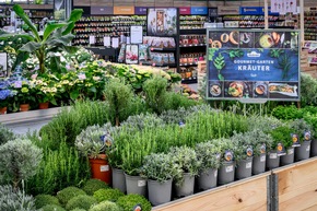 Pressemitteilung: Neuer&ouml;ffnung am 12. M&auml;rz 2026 &ndash; Dehner Garten-Center in Neusiedl am See