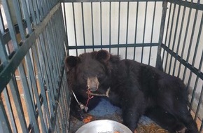 VIER PFOTEN - Stiftung für Tierschutz: QUATRE PATTES au Pakistan: Aide urgente pour les ours dansants et les ours de combat maltraités