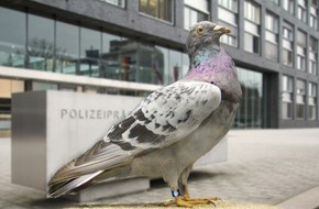 Polizeipräsidium Frankfurt am Main: POL-F: 210928 - 1188 Frankfurt: Lehrmittelsammlung im Polizeipräsidium stellt Ausstellungsstück "Charly"