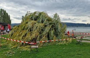 Freiwillige Feuerwehr Reichenau: FW Reichenau: Baum auf Liegewiese gest&uuml;rzt - 28.08.2026