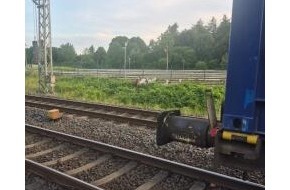 Bundespolizeiinspektion Flensburg: BPOL-FL: HAR - Ziegen am Gleis verursachen Zugverspätungen