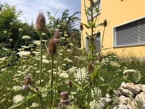 Letzter Aufruf 📣: Bundesweit naturnah gestaltete Balkons, Gärten und Firmengelände gesucht 🌸 🐝 🏆