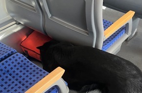 Bundespolizeiinspektion Magdeburg: BPOLI MD: Herrenlose Gepäckstücke im Regionalexpress - Einsatz für Sprengstoffspürhund